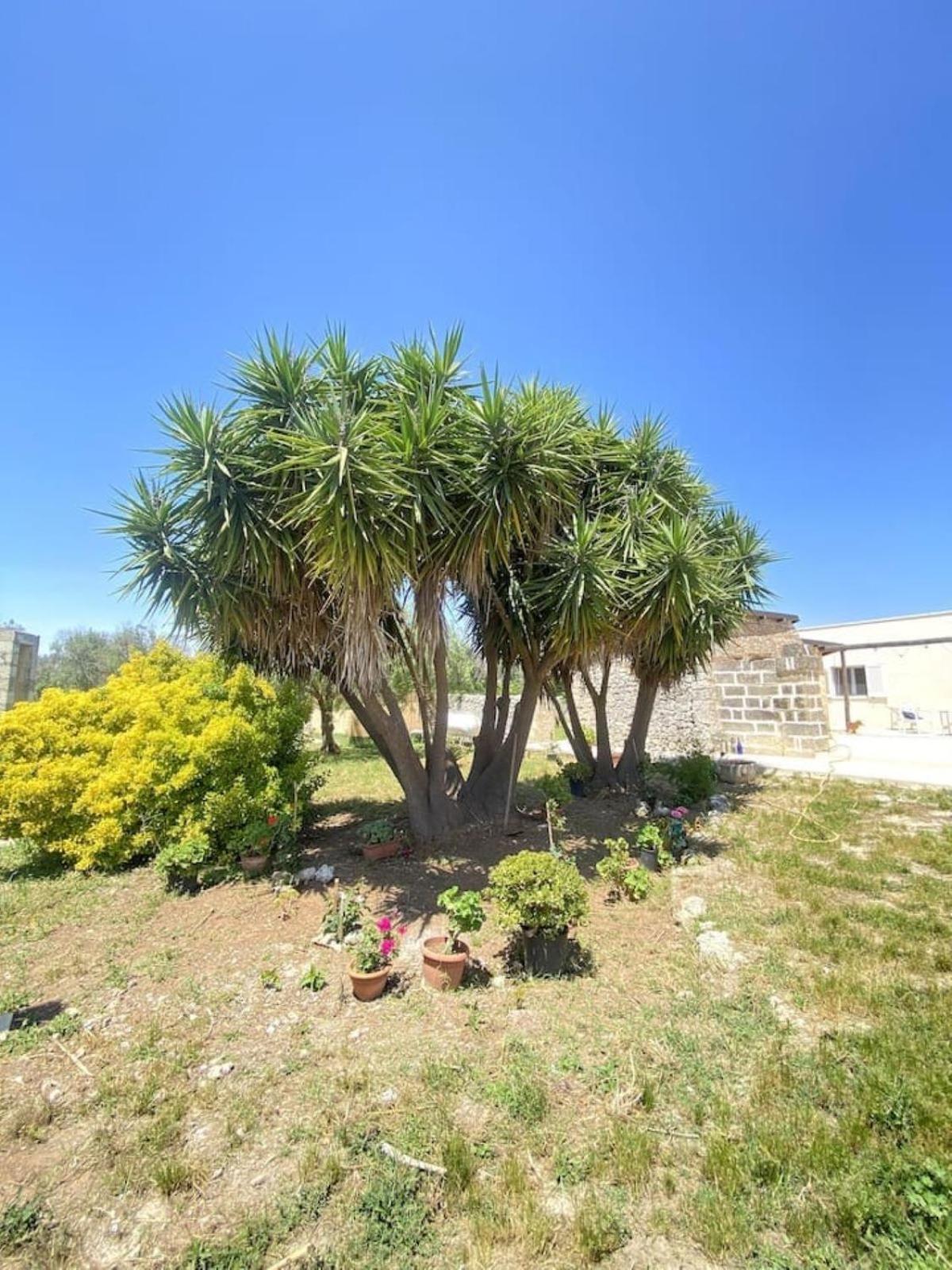 Apartament Casolare Giardino Aiarella-Assunta Merine Pokój zdjęcie